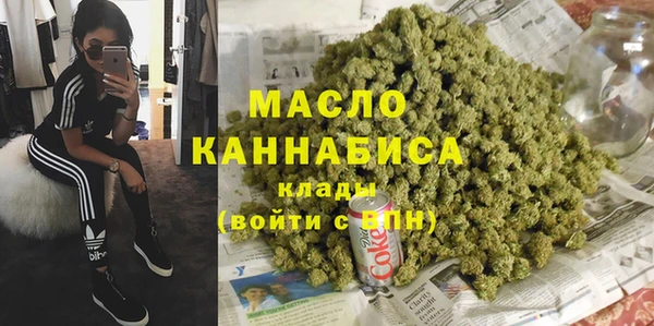 индика Арсеньев