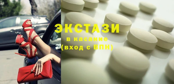 индика Арсеньев