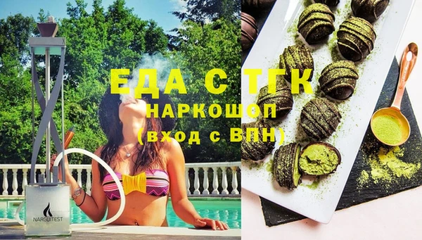 индика Арсеньев
