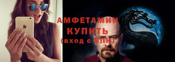 ГАЛЛЮЦИНОГЕННЫЕ ГРИБЫ Аркадак