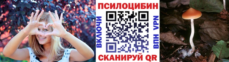 закладка  Ухта  Галлюциногенные грибы мицелий 